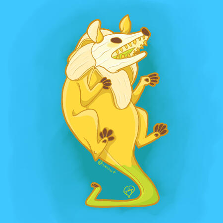 Banana Possum